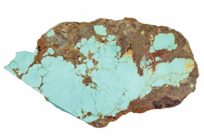 Polished Turquoise Slab - Number Mine, Carlin, NV #292316